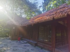 -中国茶叶博物馆(双峰馆区)