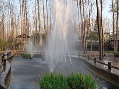 -合肥滨湖国家森林公园