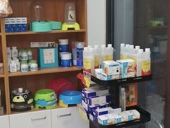 -瑞派雷欧宠物医院·中兽医·眼科·急重症转诊中心(黄台店)