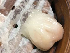 金牌虾饺皇-莅香岛港式餐厅(滨江道店)