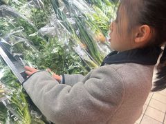 -麦德龙(虹口江湾店)