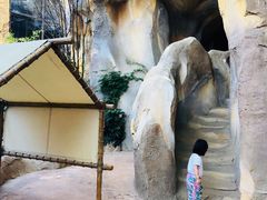 -杭州开元森泊度假乐园