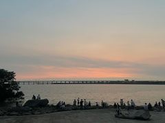 -宝安西湾红树林湿地公园