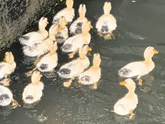 -浙江省博物馆(孤山馆区)