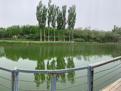 -大兴滨河森林公园