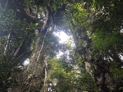 -七仙岭温泉国家森林公园