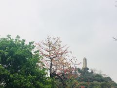 -小洲村