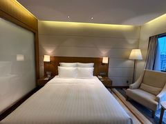 -珠海中海雅高铂尔曼酒店