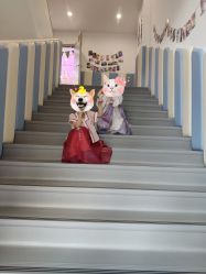 -Arkid安奈欢乐王国(百花里店)