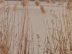 -昆山城市生态森林公园