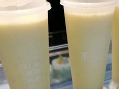 燕麦玉米汁-欧佩拉(红星路店)