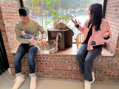 -豆逗聊愈猫阁Easy Life