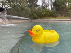 -咸宁万豪温泉谷度假区