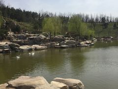 -鹦鹉寺公园