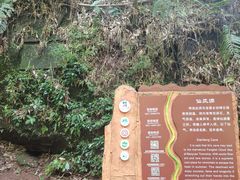 -赤水丹霞旅游区·大瀑布