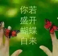 点击看大图 -YESIDO椰岛造型烫发染发