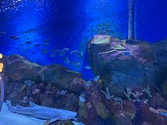 -顺德南宏海立方海洋公园