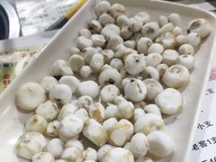 -东山羊庄(八卦岭店)