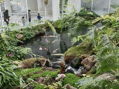 -罗红摄影艺术馆