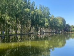 -阿尔丁植物园