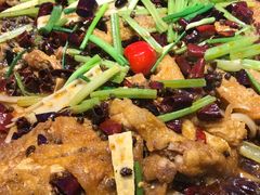 -老板恋上鱼(恒隆广场店)