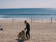 -西涌国际滨海旅游区