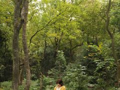 -广州市石门国家森林公园