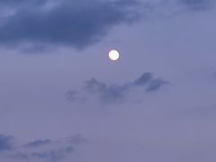 -长虫山生态公园风景林
