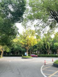 -弗蕾亚·和月月子调理院(东湖店)