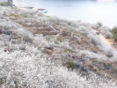 -广州市流溪河国家森林公园