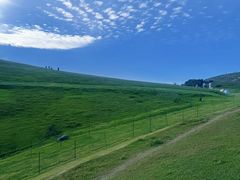 -大姆山草场
