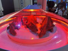 -侏罗纪世界电影特展(广州站)