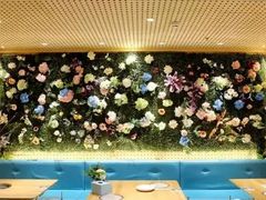 -青瓷火锅料理(西单大悦城店)