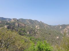 -大岭沟猕猴桃谷风景区