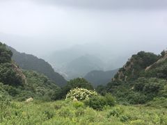 -白草畔自然风景区