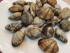 -山海关清和浑锅店