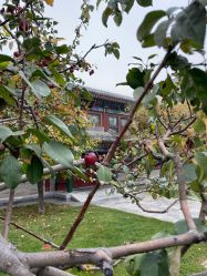 -颐和宾馆宴会厅