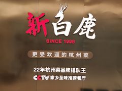 -新白鹿餐厅(虹桥南丰城店)