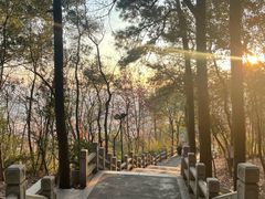 -灵岩山风景区