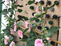-广州市紫泥堂文化创意园景区