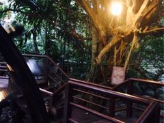 iphone_upload_pic-七仙岭君澜度假酒店