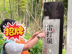 -长沙黑麋峰国家森林公园