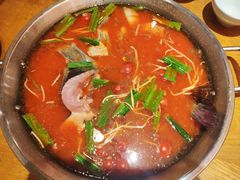 -新凯里酸汤鱼(飞山街店)