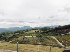 -江南天池