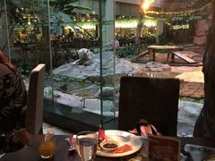 -白虎自助餐厅·真老虎·景观自助餐厅(广州长隆酒店)