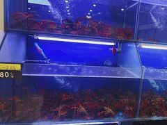 -虾铺子龙虾·私房菜(金源花苑店)