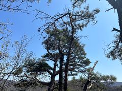 -三块石国家森林公园
