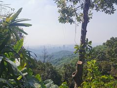 -广州市白云山风景名胜区