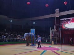 -西安秦岭野生动物园