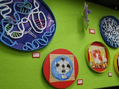 活动室-杨梅红艺术教育(万象城教学中心)